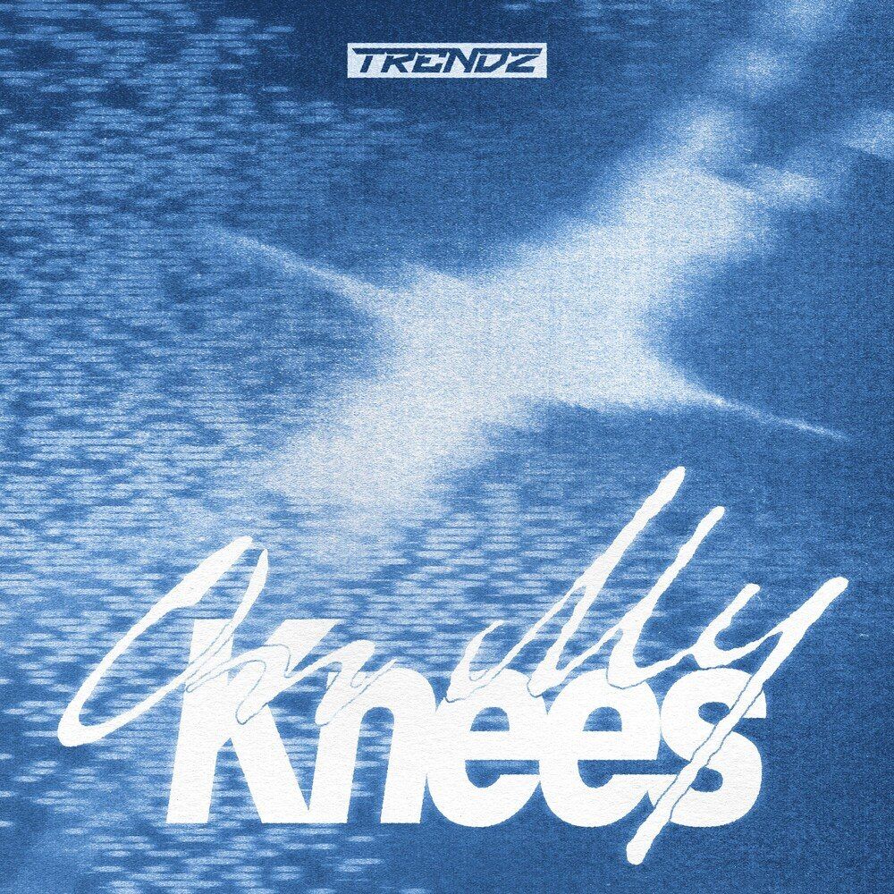 TRENDZ On My Knees