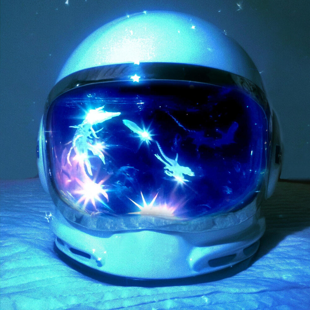 FIFTY FIFTY - STARSTRUCK: What Just Landed