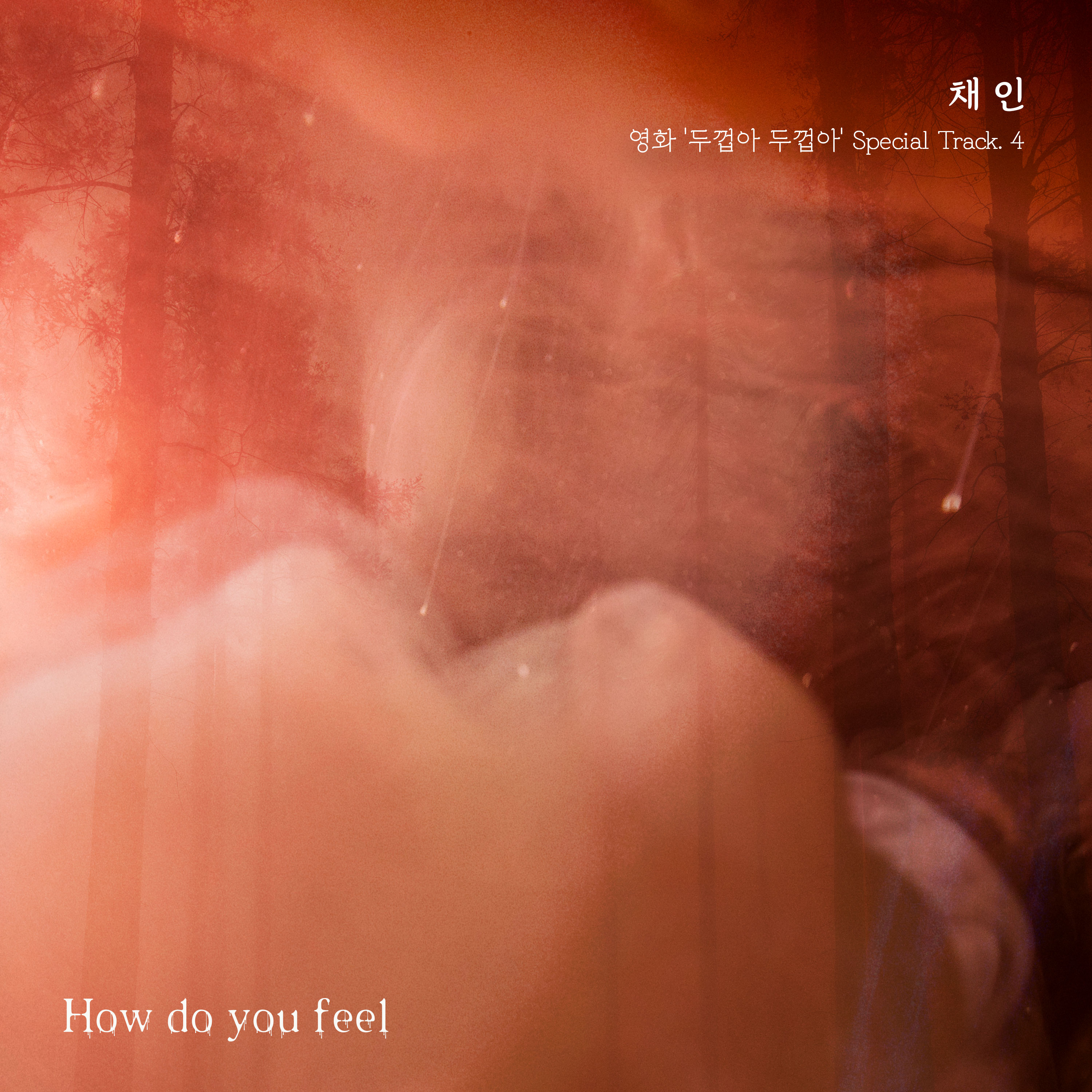 Chaein - 'Toad Toad' Special Track. 4: What Just Landed