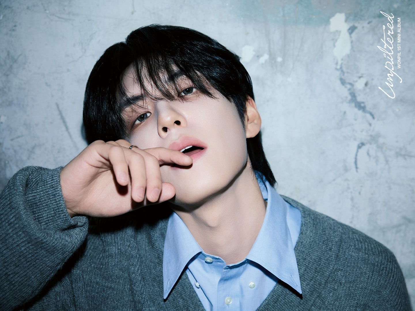Wonpil (DAY6) — K-pop Idol Profile | kpopping